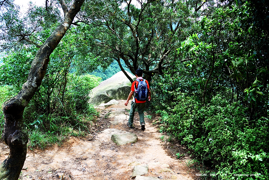 DSC_2364.jpg - LION ROCK
