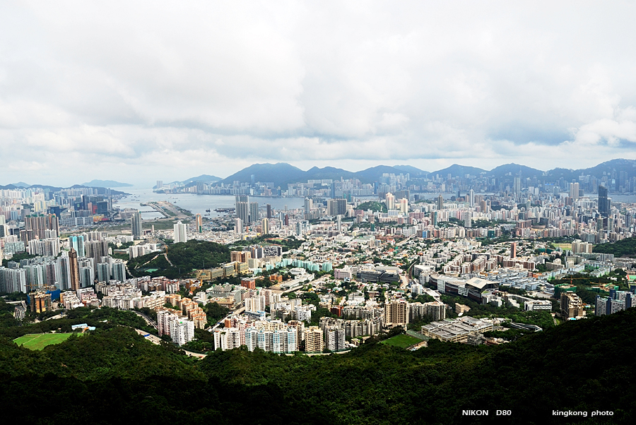 DSC_2367.jpg - LION ROCK