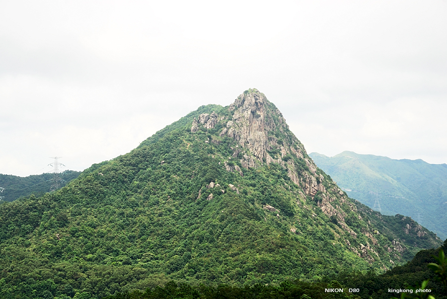 DSC_2370.jpg - LION ROCK