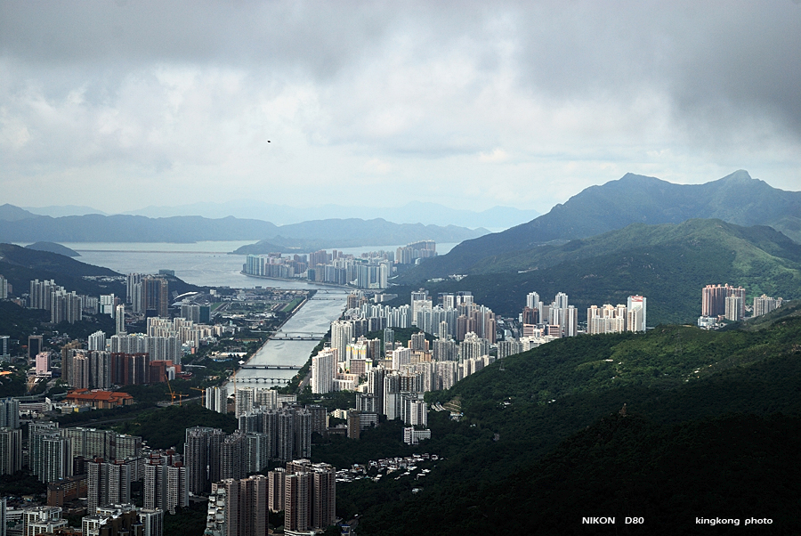 DSC_2381.jpg - LION ROCK