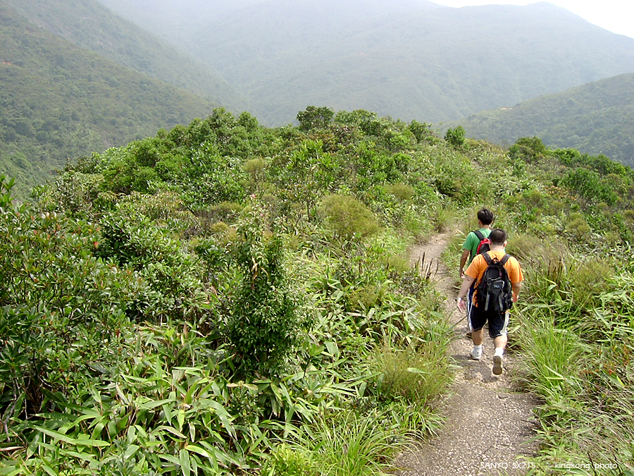 SANY1723.JPG - 鹿湖郊遊徑, 鹿湖高原