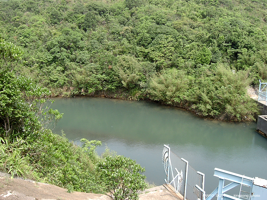 SANY1726.JPG - 鹿湖郊遊徑, 鹿湖高原