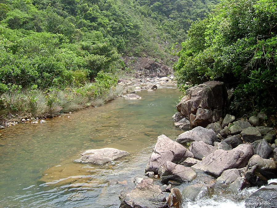 SANY1728.JPG - 鹿湖郊遊徑, 鹿湖高原