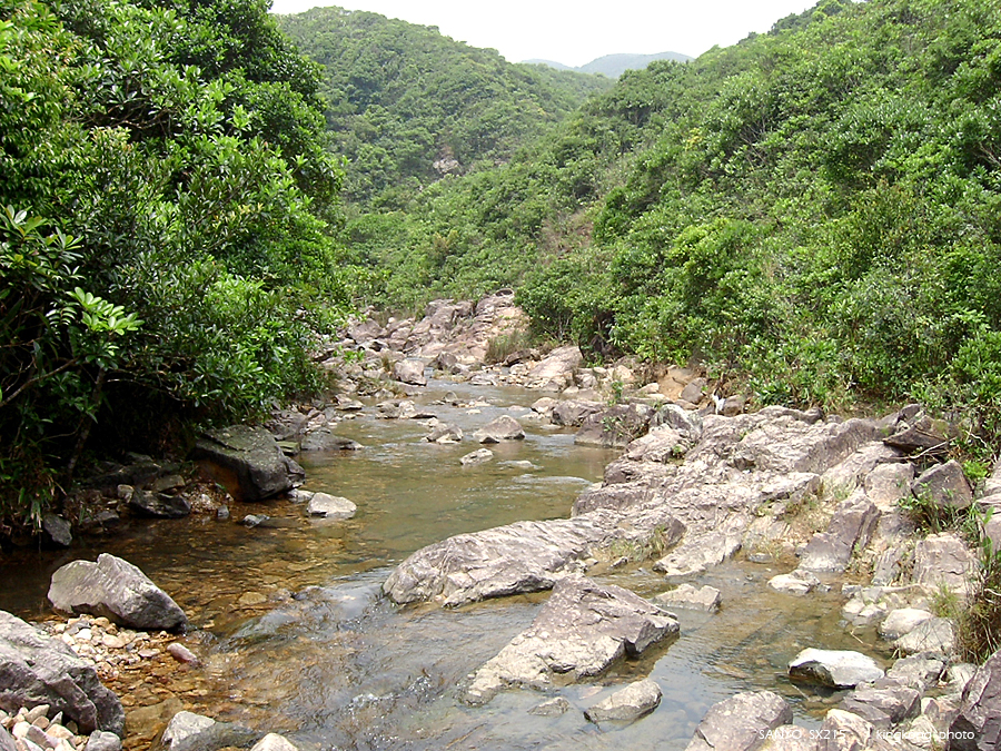 SANY1729.JPG - 鹿湖郊遊徑, 鹿湖高原