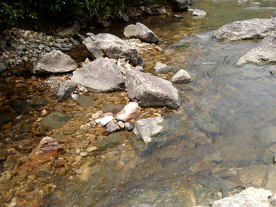 SANY1730.JPG - 鹿湖郊遊徑, 鹿湖高原