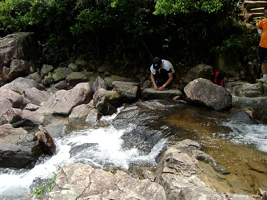 SANY1732.JPG - 鹿湖郊遊徑, 鹿湖高原