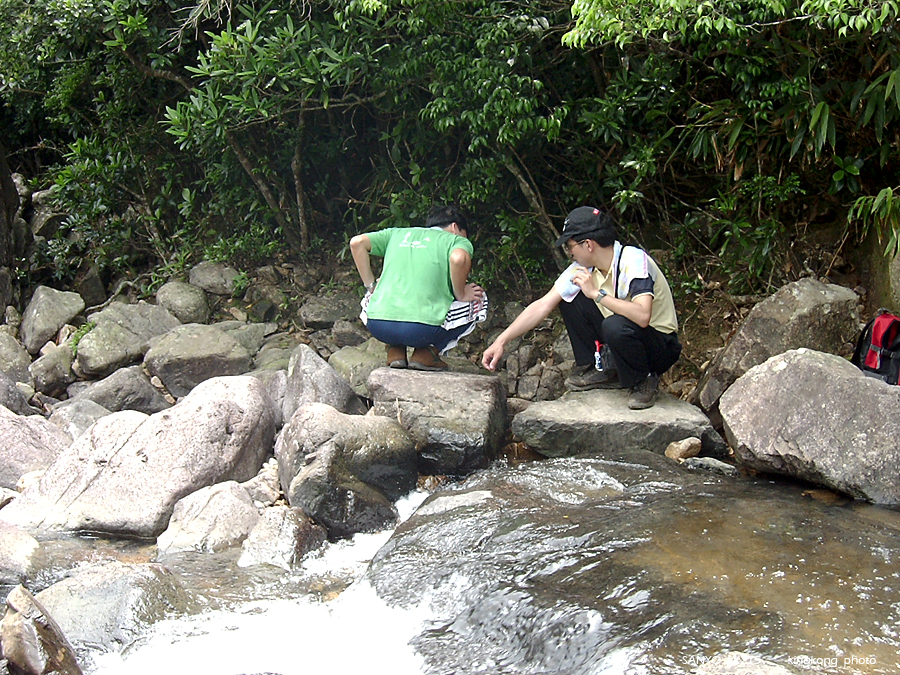 SANY1734.JPG - 鹿湖郊遊徑, 鹿湖高原