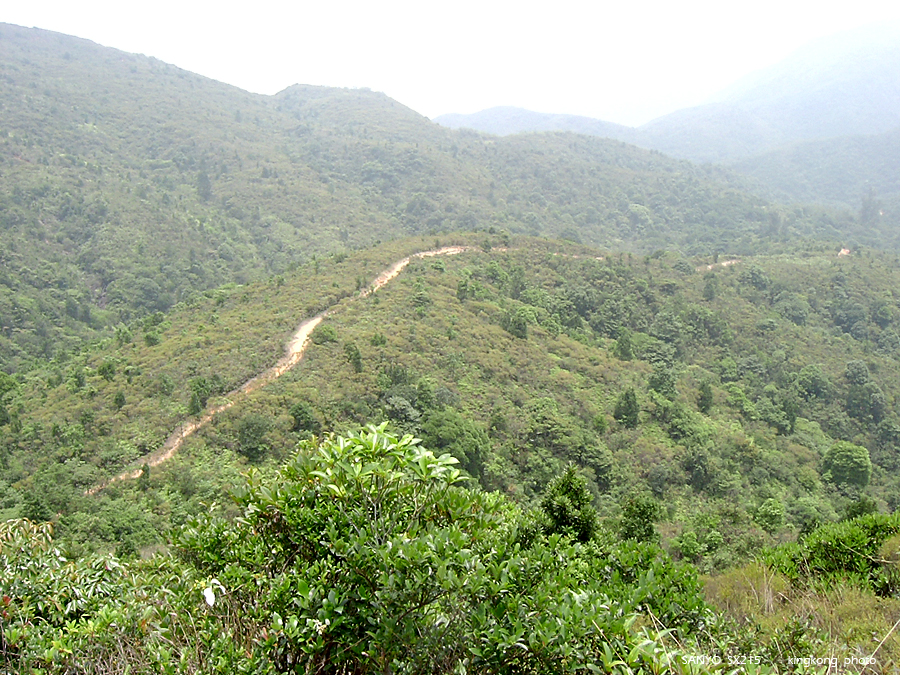 SANY1741.JPG - 鹿湖郊遊徑, 鹿湖高原