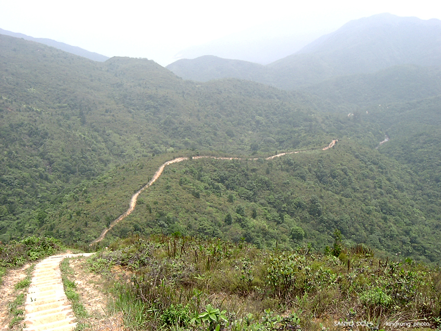SANY1742.JPG - 鹿湖郊遊徑, 鹿湖高原