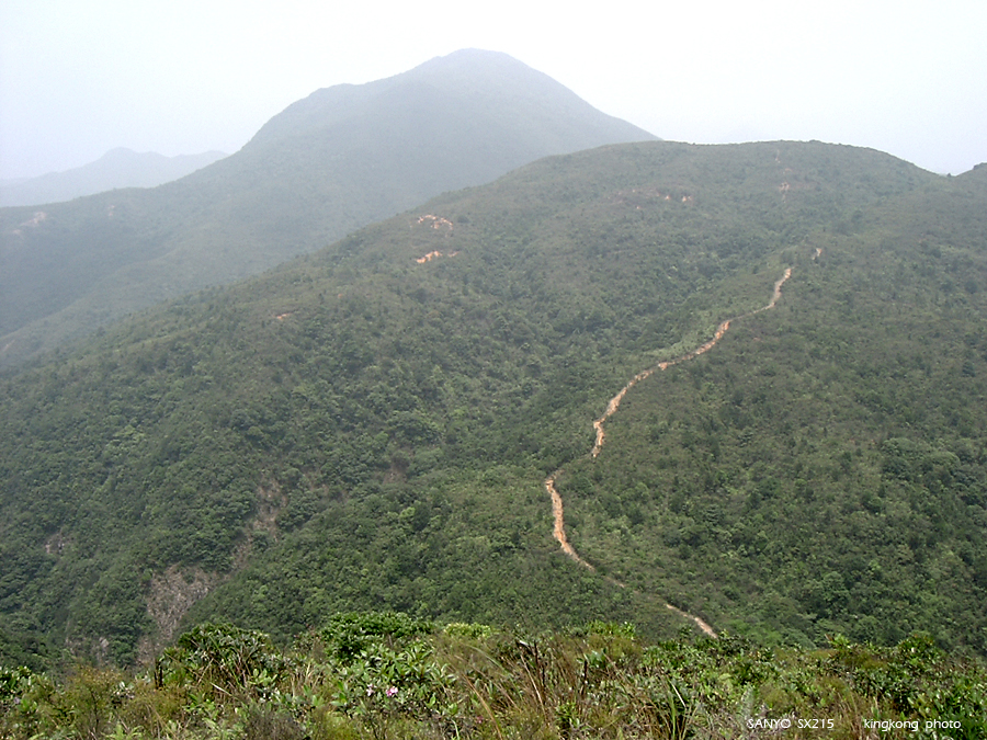 SANY1743.JPG - 鹿湖郊遊徑, 鹿湖高原