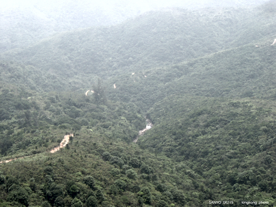 SANY1744.JPG - 鹿湖郊遊徑, 鹿湖高原