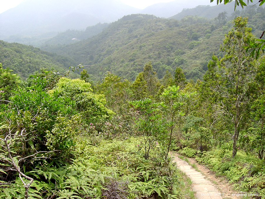 SANY1746.JPG - 鹿湖郊遊徑, 鹿湖高原
