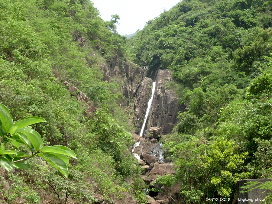 SANY1748.JPG - 鹿湖郊遊徑, 鹿湖高原