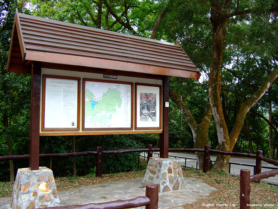 DSCF1403.JPG - 龍仔悟園 - 大澳