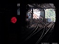 IMG_1191