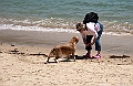 IMG_1210