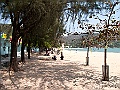IMG_1215