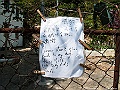IMG_1222