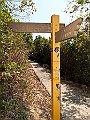 IMG_1225