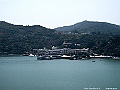 IMG_1229