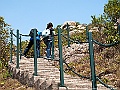 IMG_1230