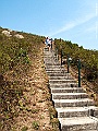 IMG_1233