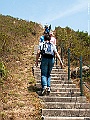IMG_1234