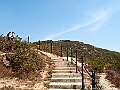IMG_1243