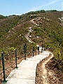 IMG_1245