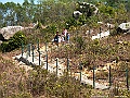 IMG_1260