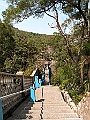 IMG_1353