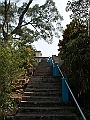 IMG_1356