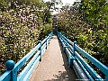 IMG_1357