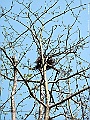 IMG_1360