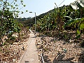 IMG_1369