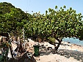 IMG_1372