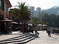 IMG_1390