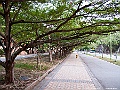 IMG_1462