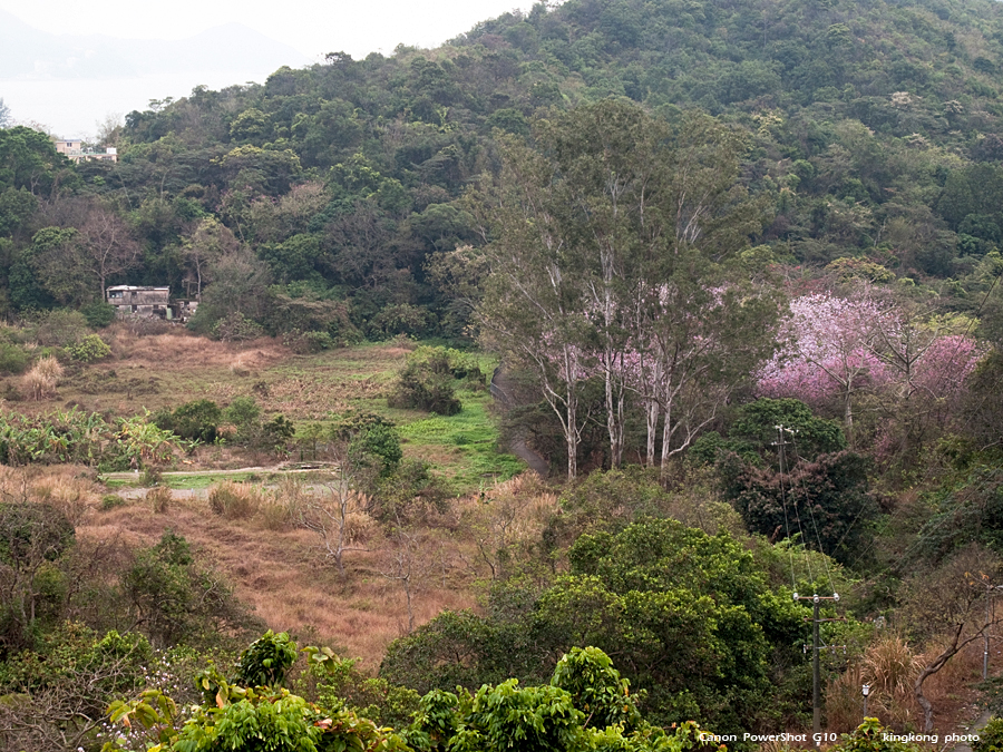 IMG_1083.jpg - MUI WO TO TUNG CHUNG