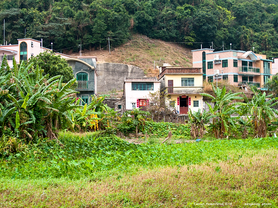 IMG_1100.jpg - MUI WO TO TUNG CHUNG