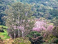 IMG_1082