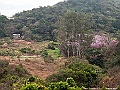 IMG_1083