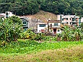 IMG_1100