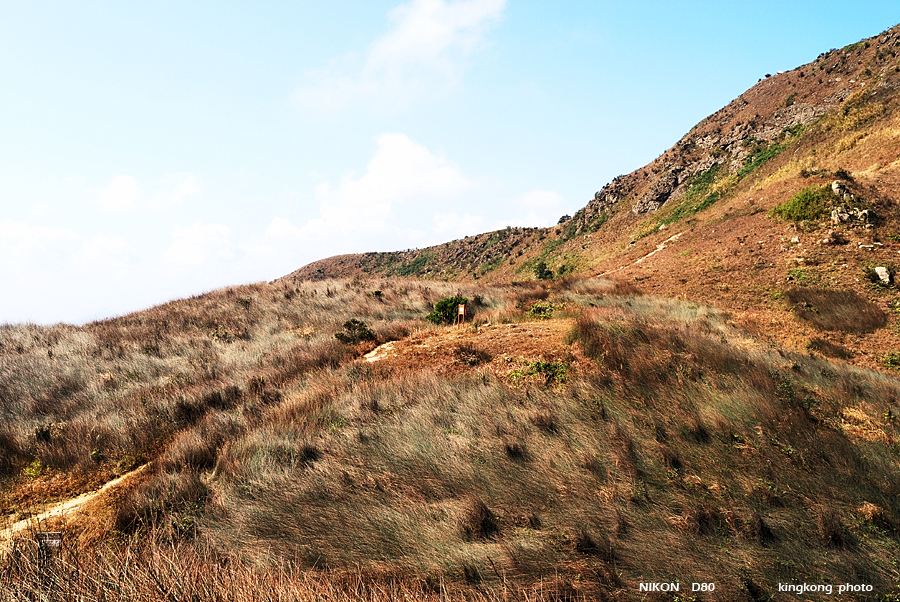 DSC_6552.jpg