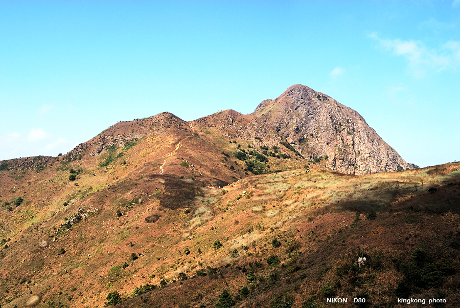 DSC_6594.jpg