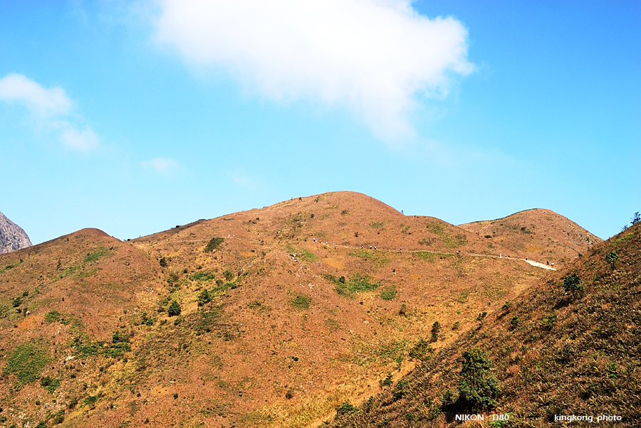 DSC_6772.jpg
