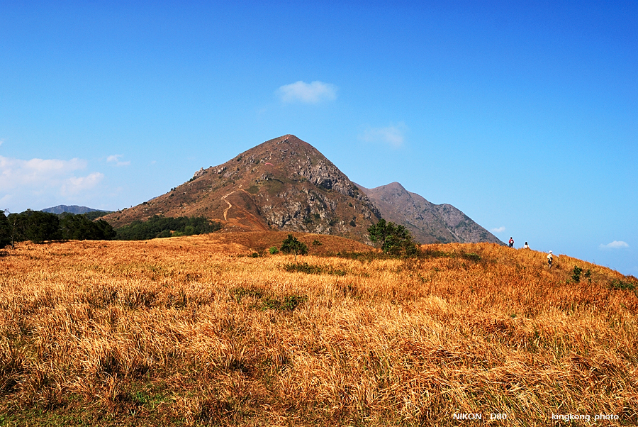 DSC_6853.jpg