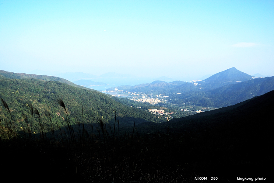 DSC_6903.jpg