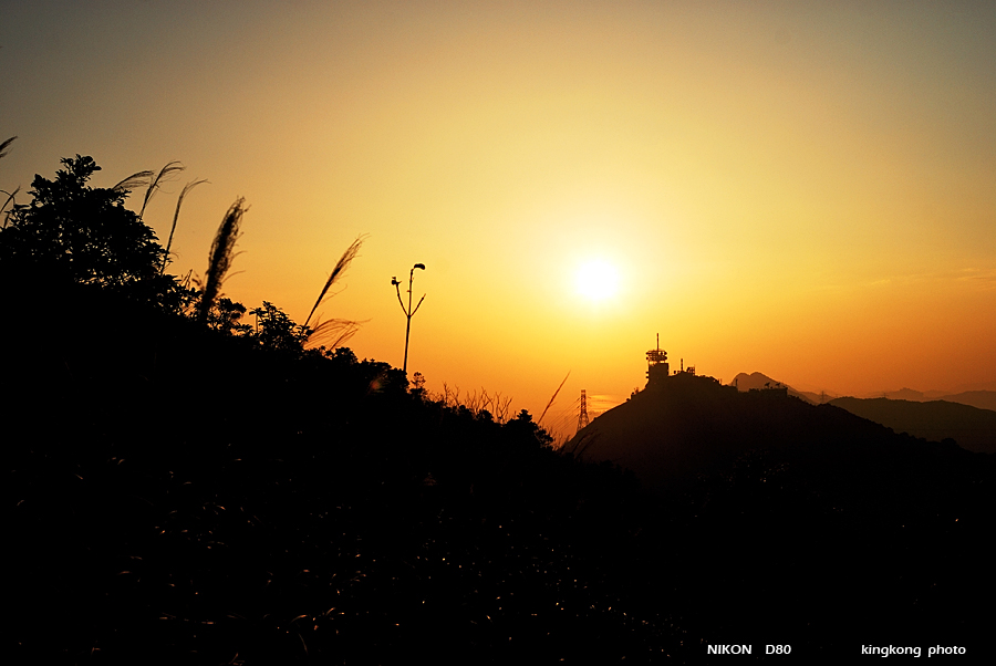 DSC_6917.jpg
