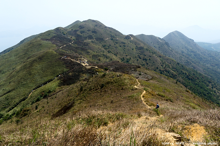 _DSC7818.jpg - Taken at Latitude/Longitude:22.407225/114.251575. 1.75 km North-West Wong Chuk Yeung  Hong Kong   (Map link) 